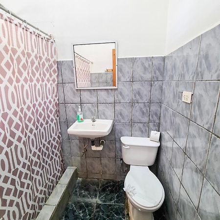 Cabinas Coco Alegre المظهر الخارجي الصورة