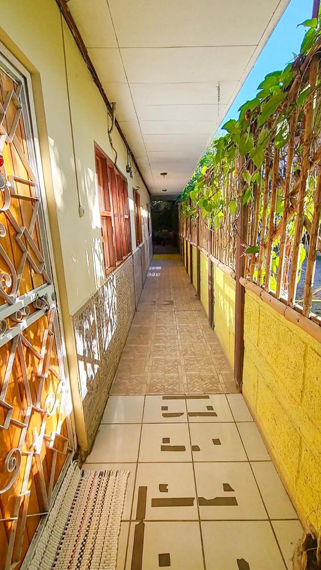 Cabinas Coco Alegre المظهر الخارجي الصورة