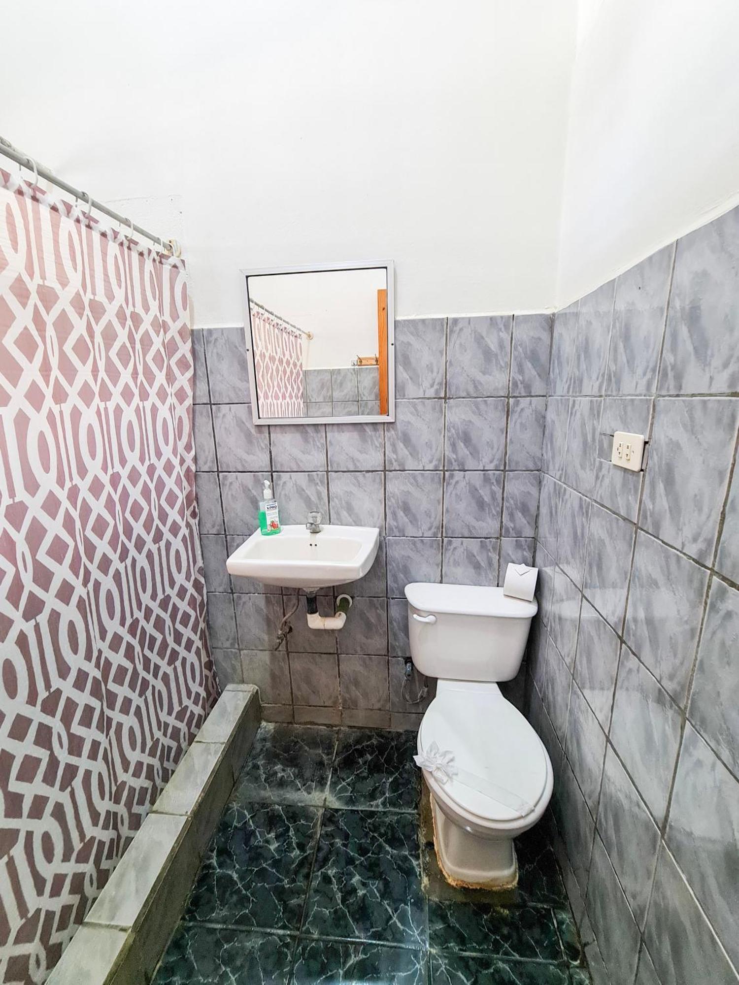 Cabinas Coco Alegre المظهر الخارجي الصورة